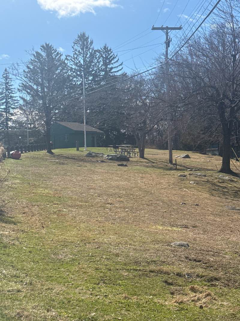 walking near me in Berean Park in spring