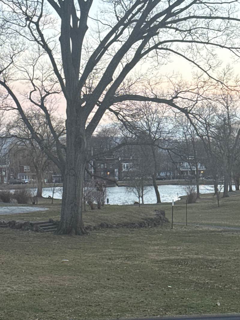 walking near me in Downing Park in spring