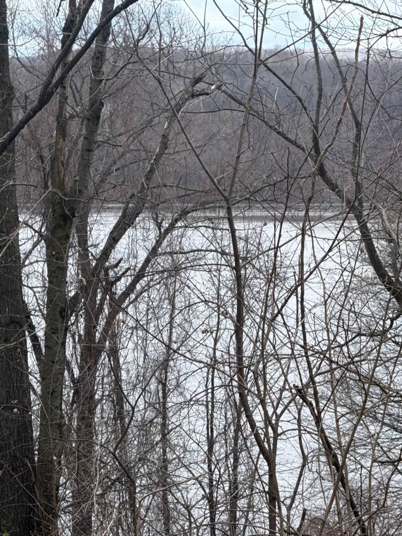 walking near me in Quiet Cove Riverfront Park in spring