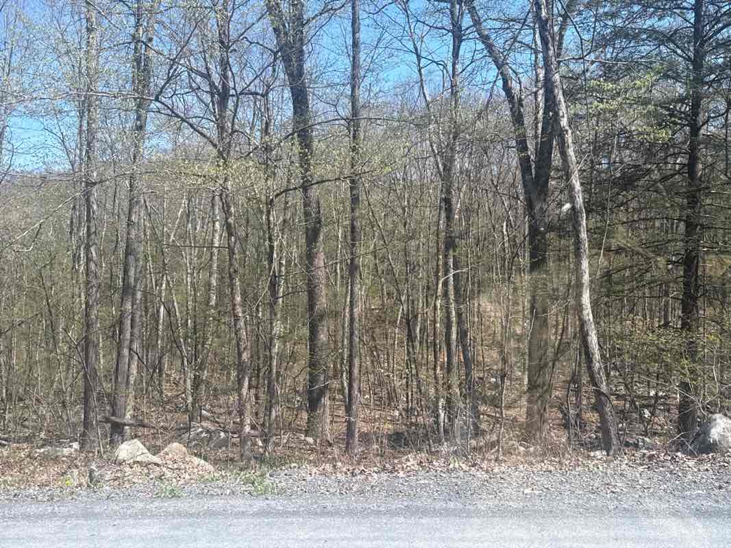 walking near me in Hemlock Ridge Multiple Use Area in spring