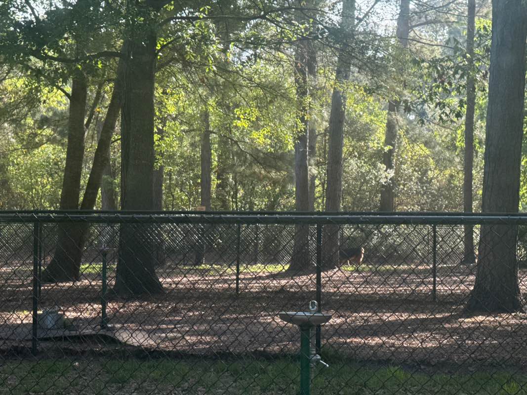 walking near me in Oscar Frazier Fitness Trail in spring