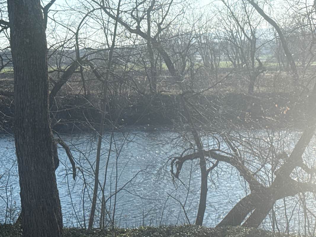 walking near me in Huguenot Riverfront Park in spring