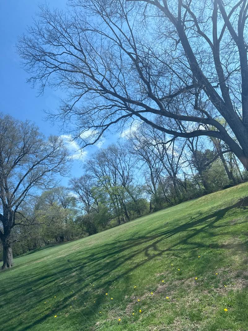 walking near me in Vassar's Back Yard in spring