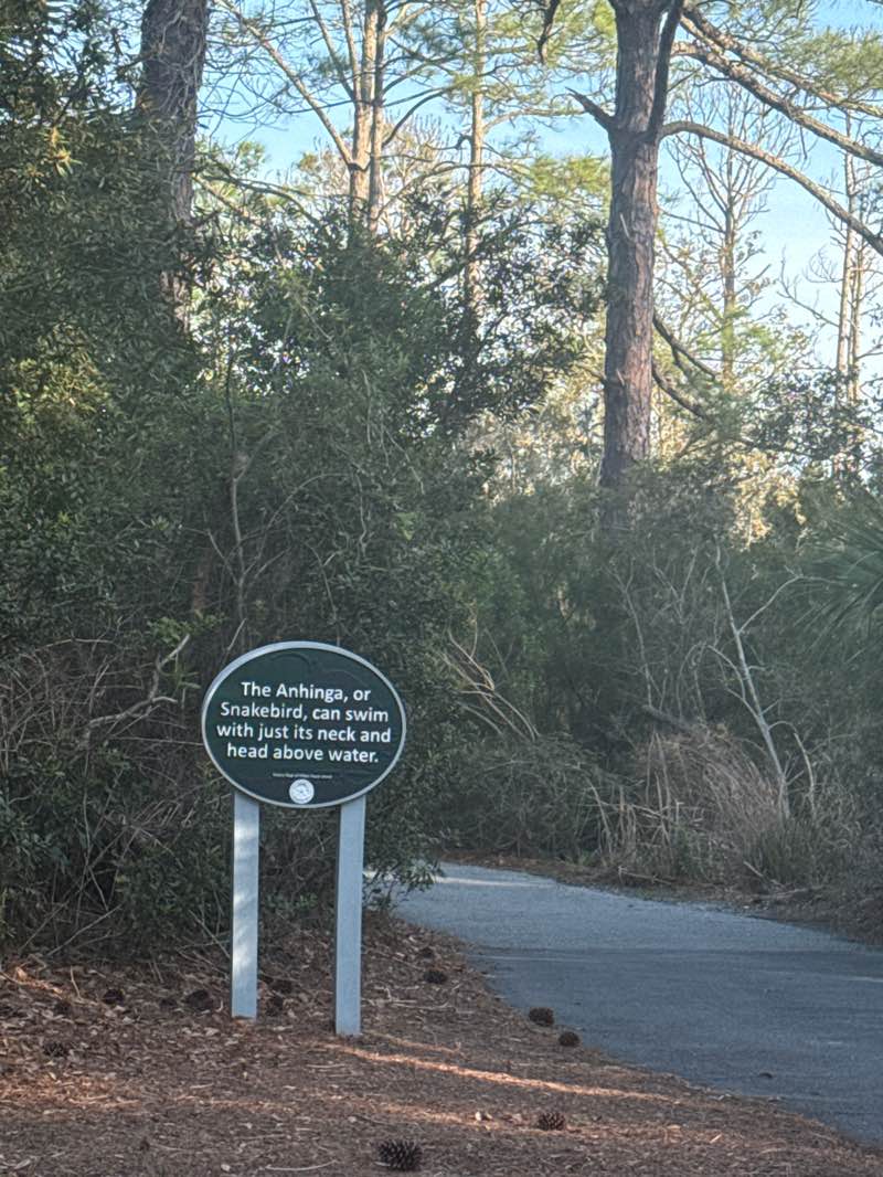 walking near me in Chaplin Park in spring