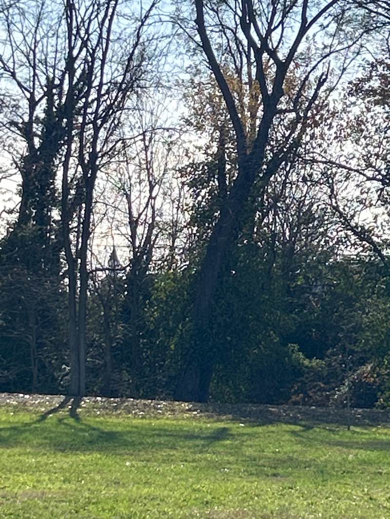 walking near me in Ted Lewis Park in autumn