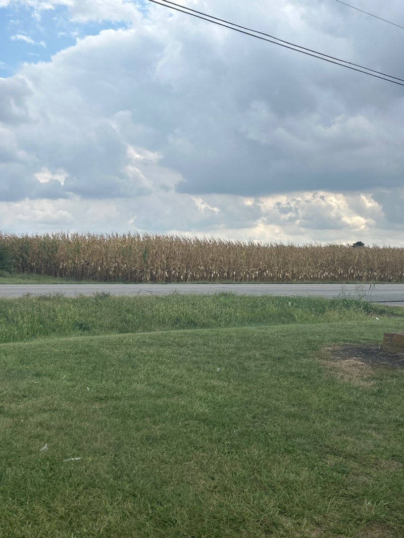 walking near me in Teays Valley Fields in autumn