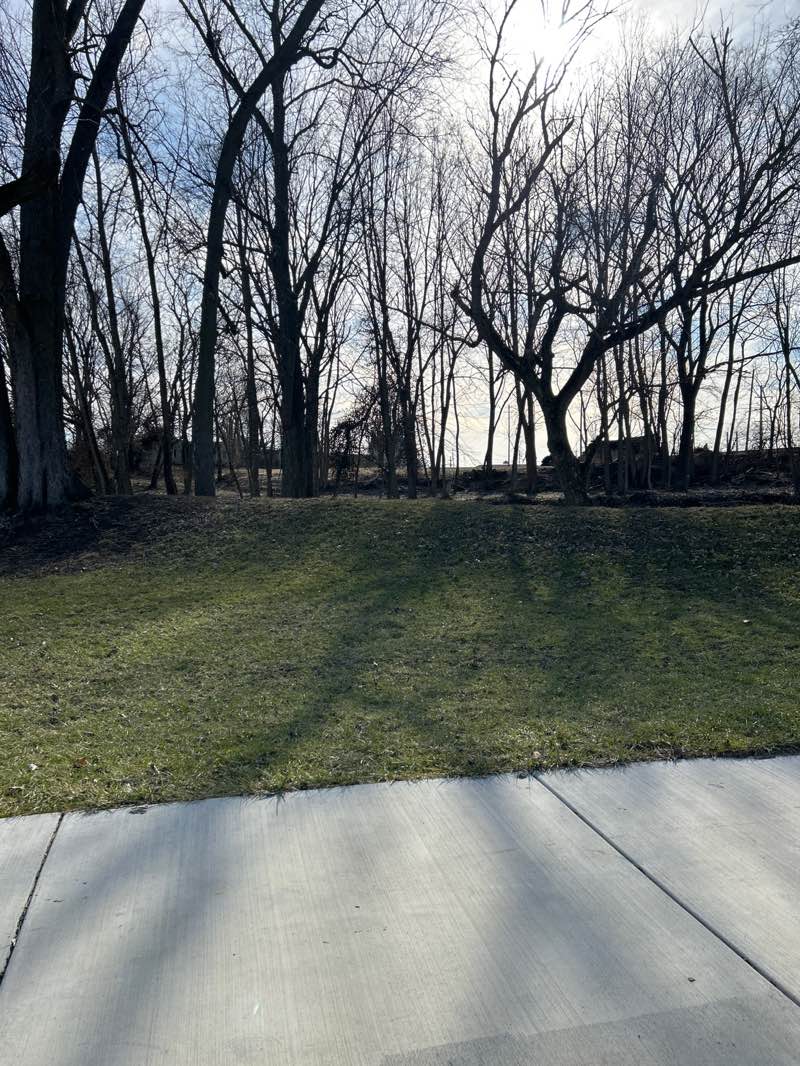 walking near me in Ted Lewis Park in winter