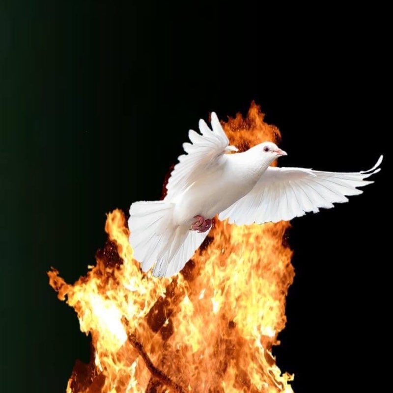 Jesus Christ and two feet 🦶🏼 Patrick⚡️Pastor✝️ post image