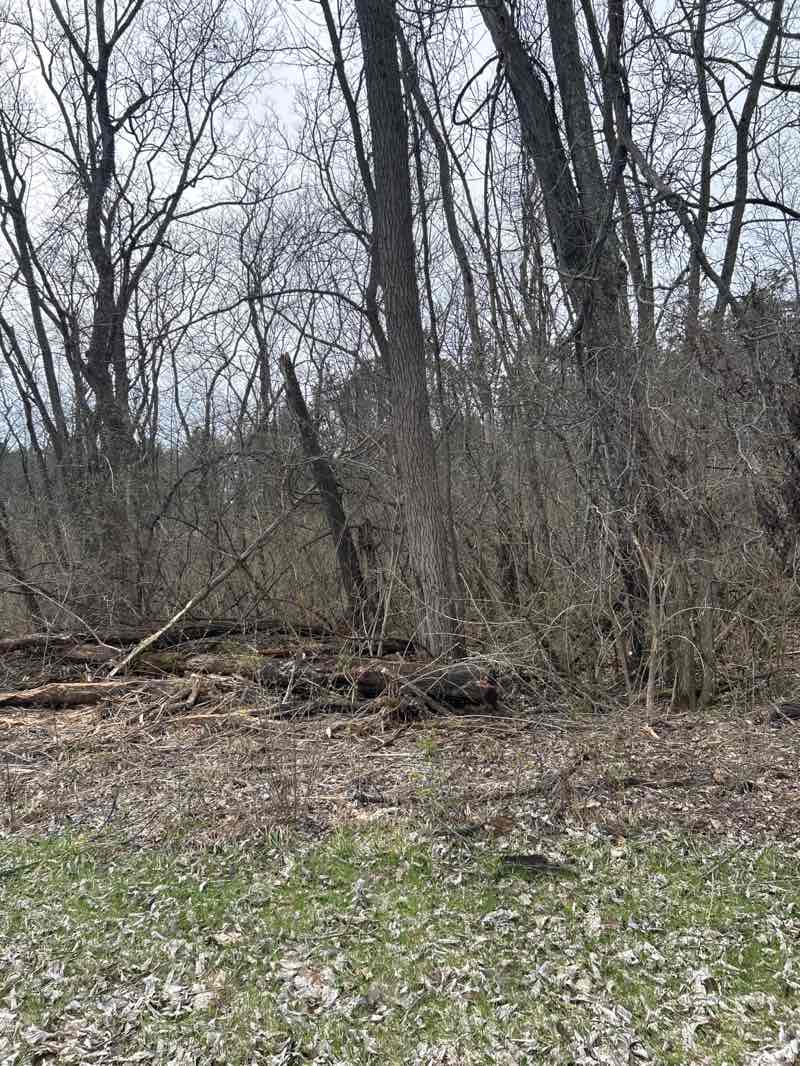 walking near me in Slate Run Metro Park in spring