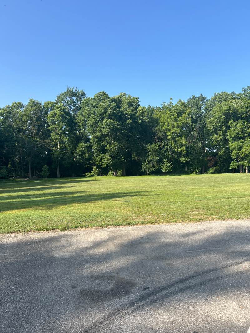 walking near me in Ted Lewis Park in summer