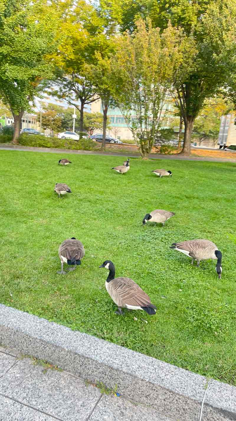 walking near me in Clinton Cove in winter