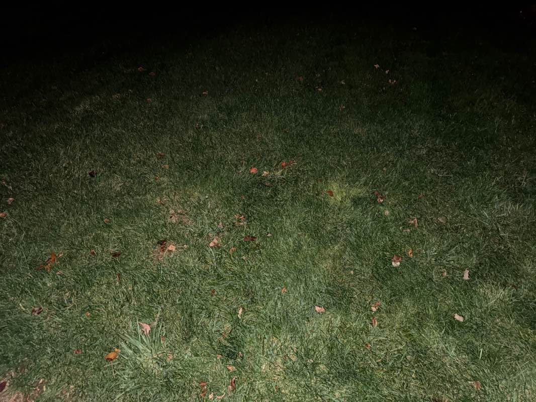 walking near me in Labor Field in autumn