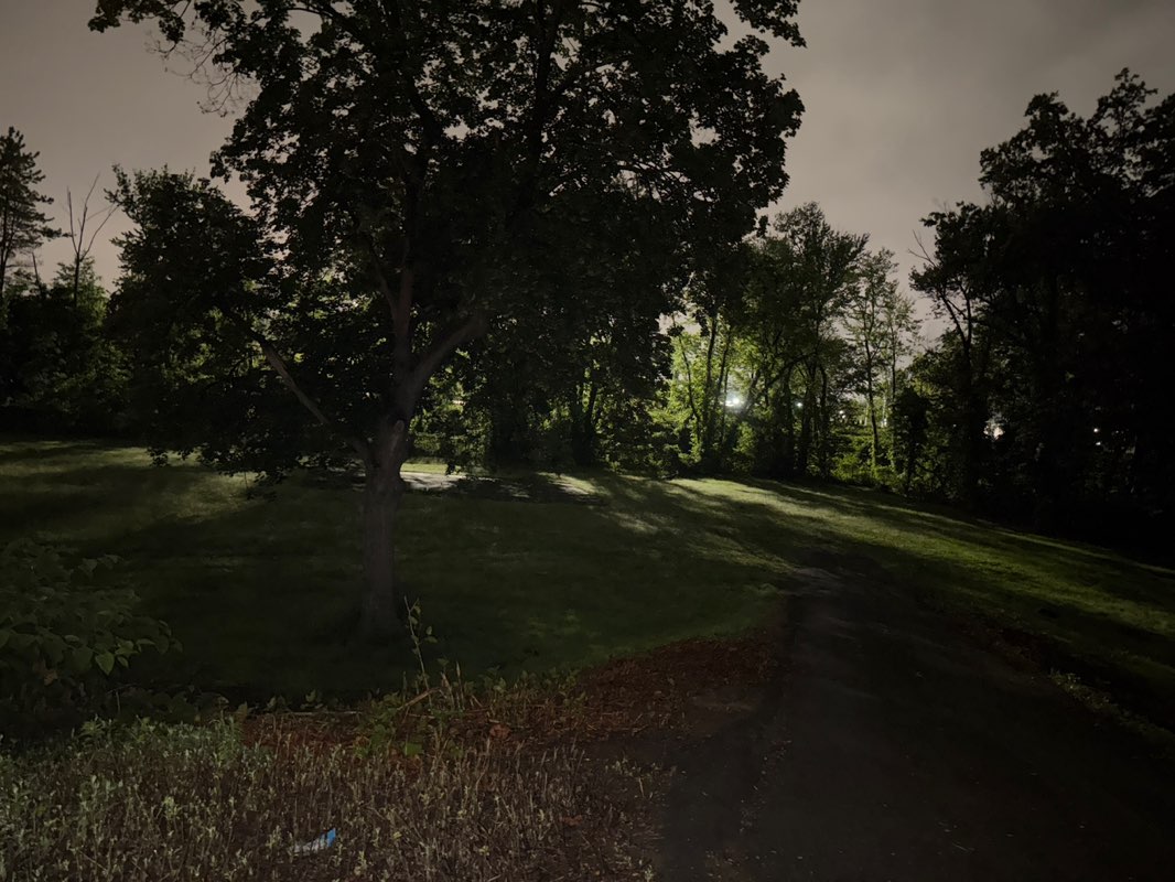 walking near me in Center Park in summer