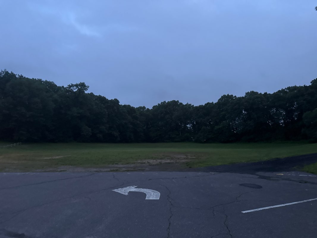 walking near me in Veteran's Memorial Park (Spring Pond) in summer