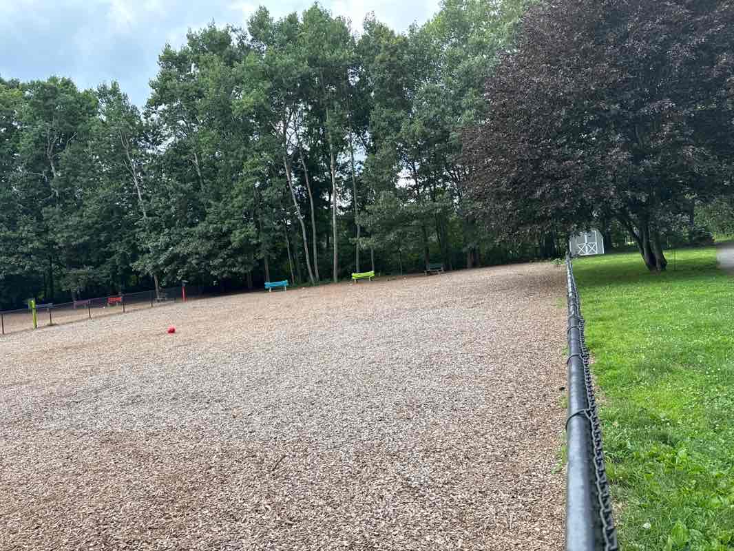 walking near me in Dog Park in summer
