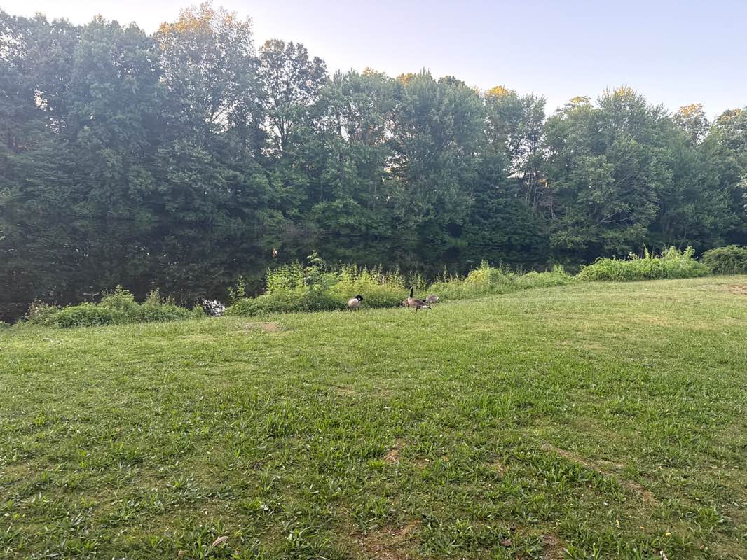 walking near me in Salter's Pond in summer