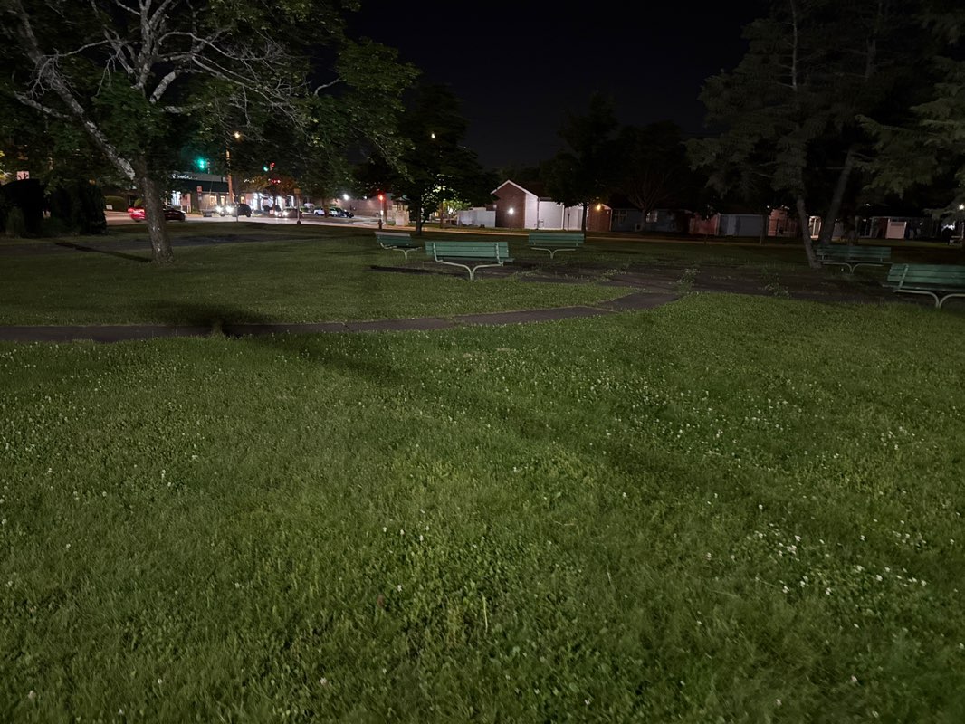 walking near me in Robertson Park in summer