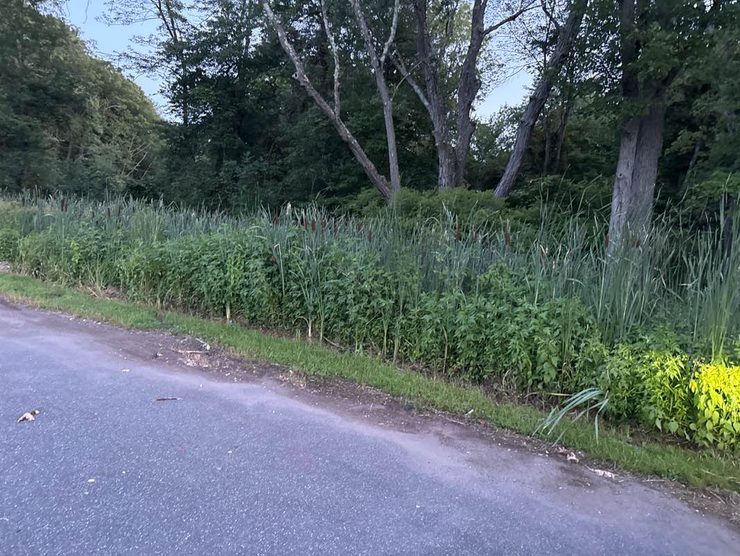 walking near me in Labor Field in summer
