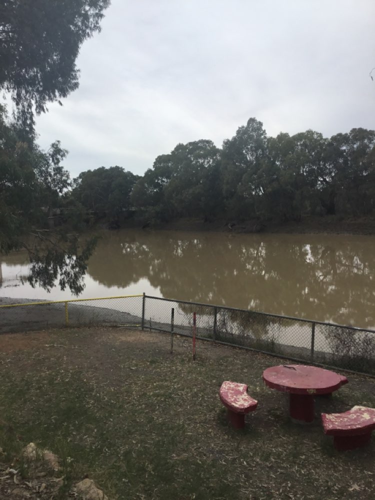walking near me in Baker Park in autumn