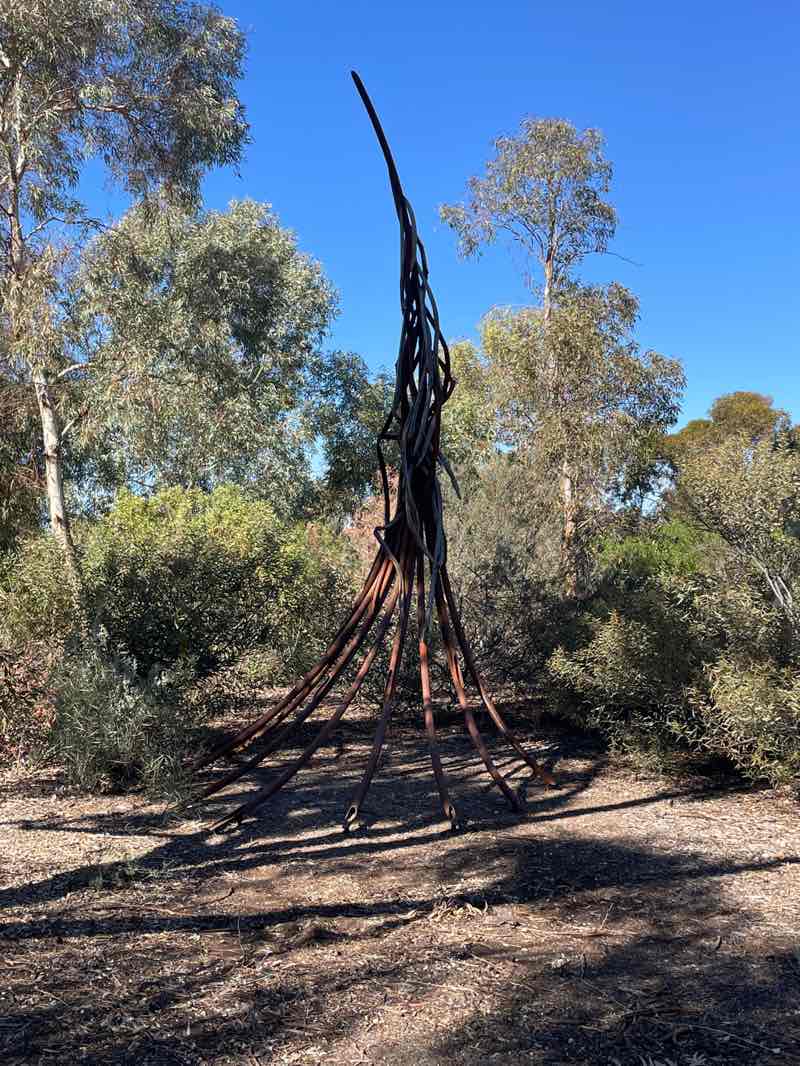 walking near me in Riddiford Arboretum in autumn