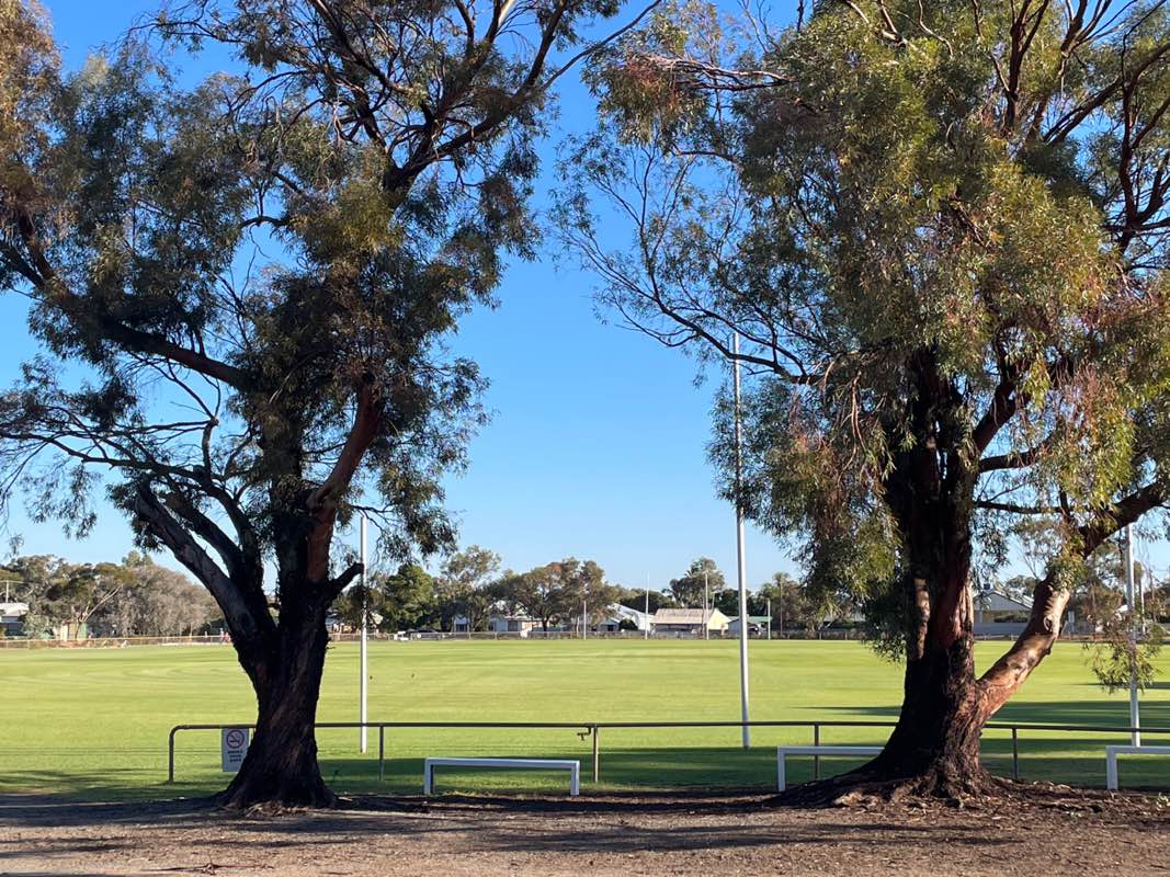 walking near me in Picton Sports Ground in autumn