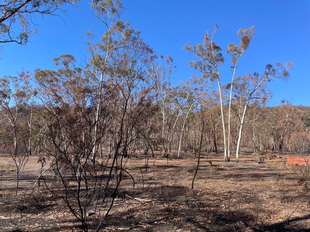 walking near me in Mount Remarkable National Park in autumn