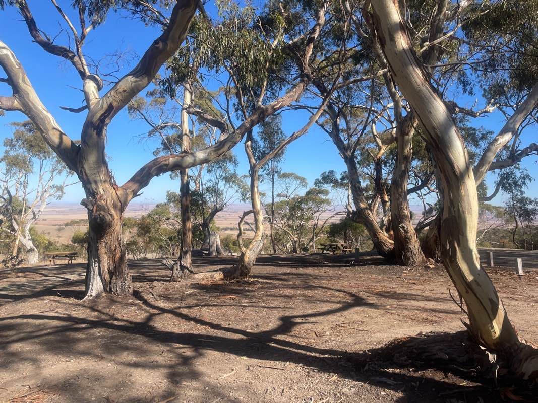 walking near me in Spring Gully Conservation Park in autumn