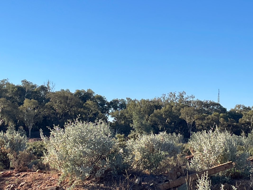 walking near me in Excelsior Sportsground in autumn