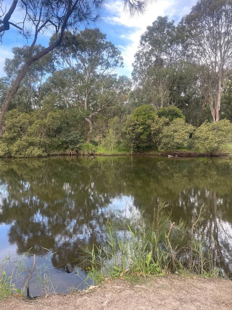 walking near me in Thomas H Halton Park in winter