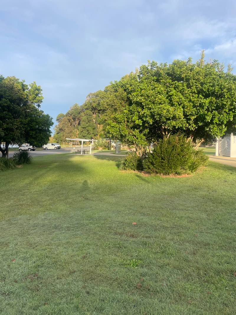 walking near me in Gordon Park in winter