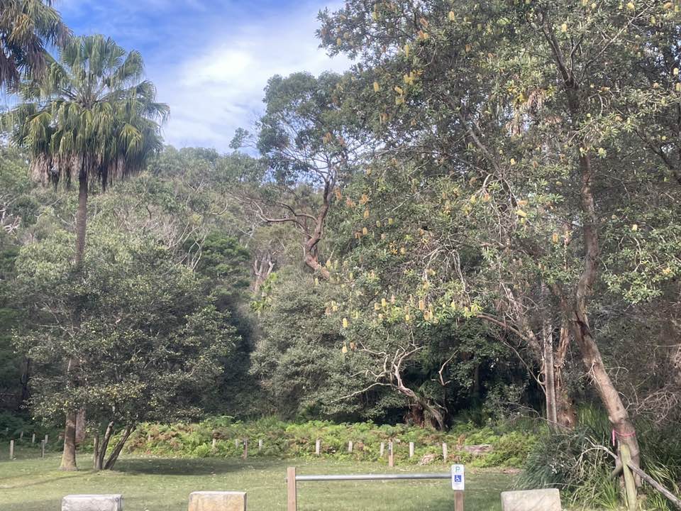 walking near me in Constables Point Deeban Spit Reserve in winter