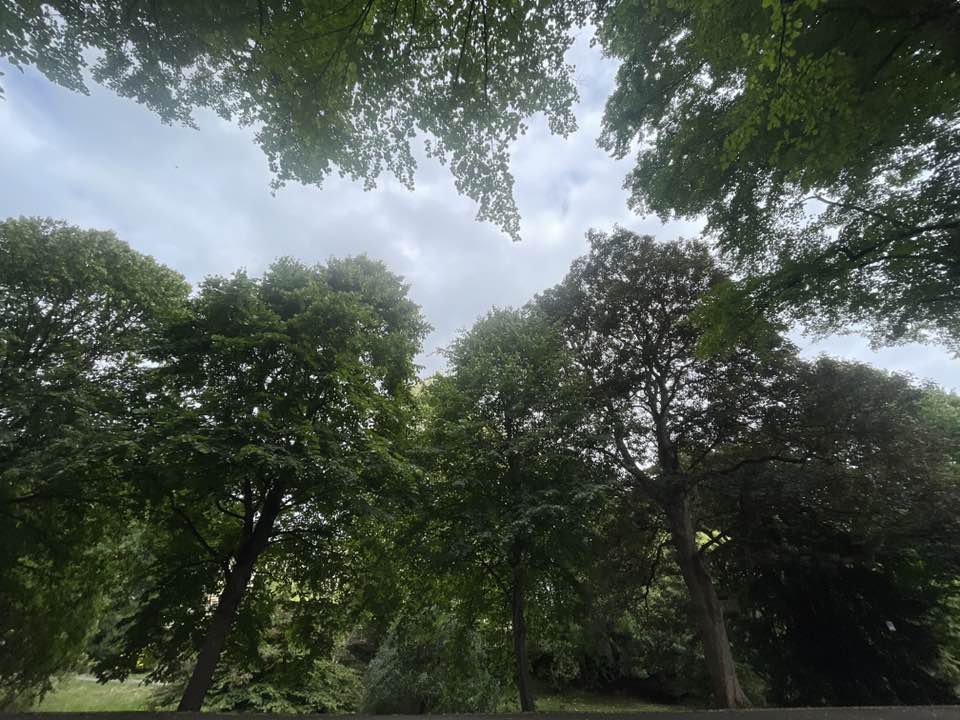walking near me in Royal Victoria Park in autumn