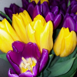 Yulia 🇺🇦💙💛 profile