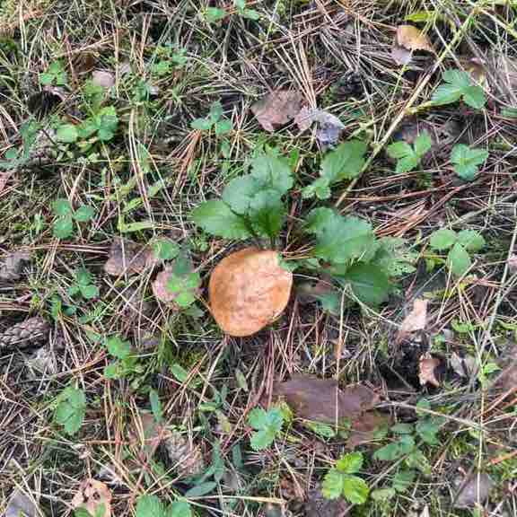 Екатерина VL🤺🤺🤺🇷🇺 post 3