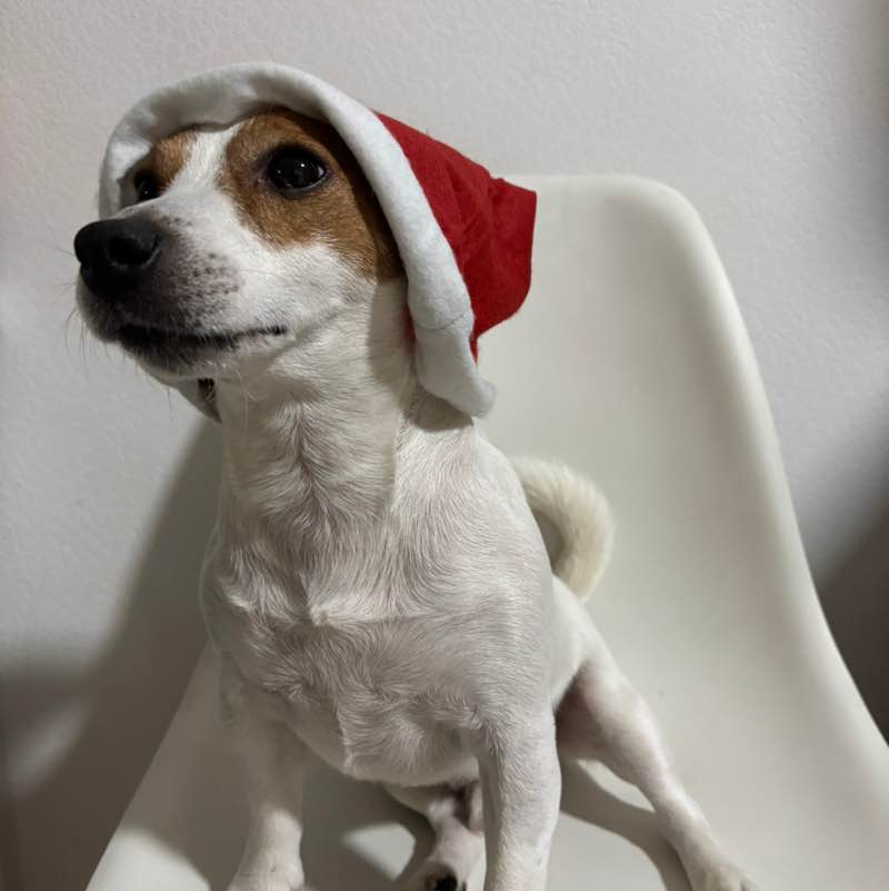 Ирина 👟 🌐 post 2