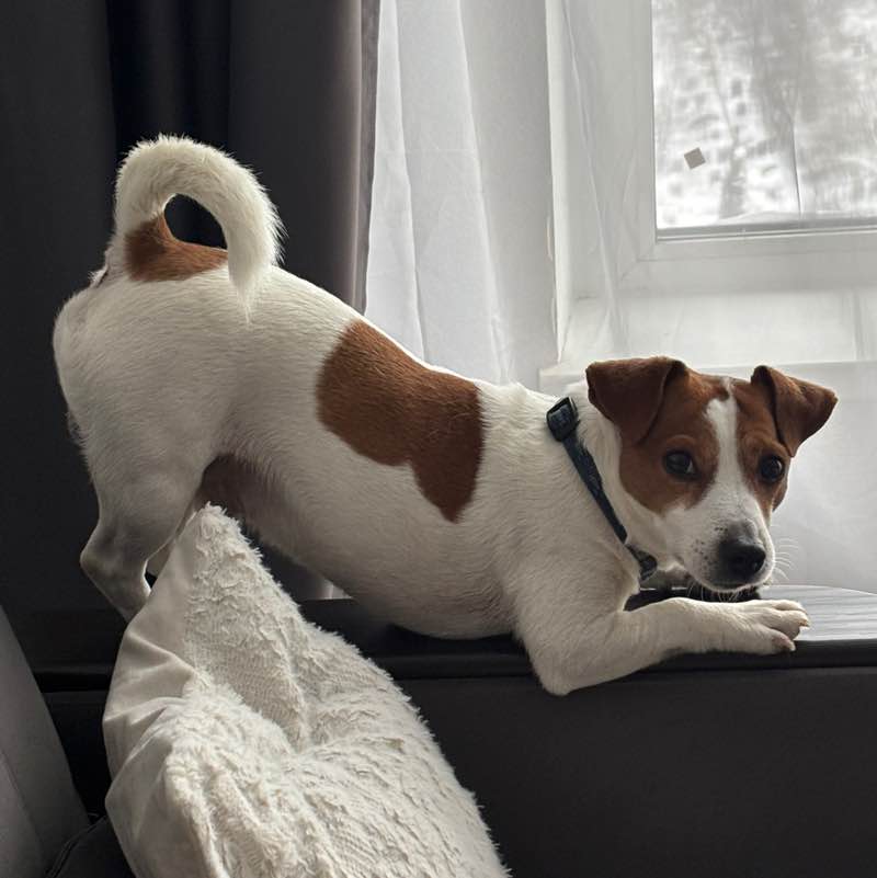 Ирина 👟 🌐 post 3