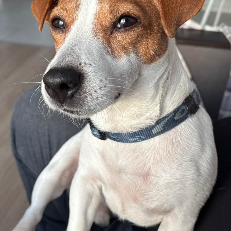 Ирина 👟 🌐 post 2