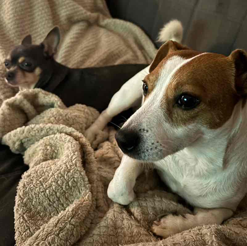 Ирина 👟 🌐 post 2