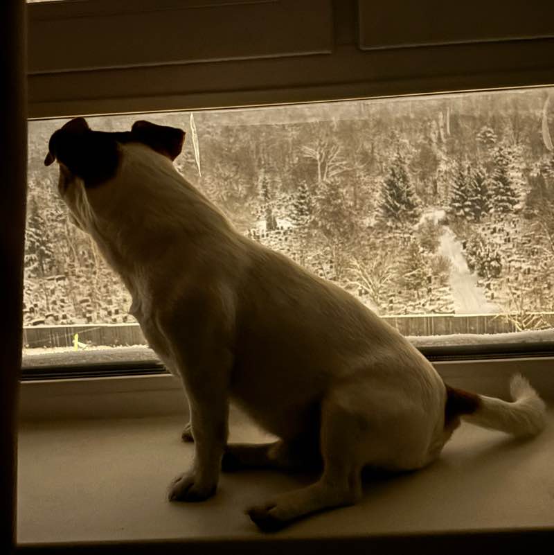 Ирина 👟 🌐 post 3