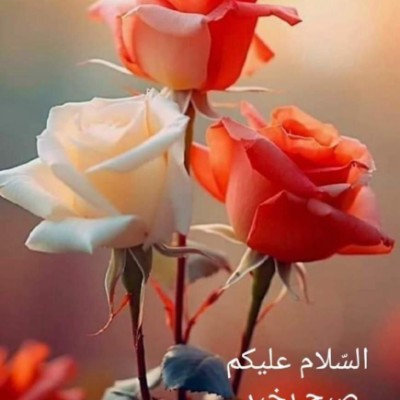 🔥🔥 OMER 🔥🔥🇵🇰 post 1