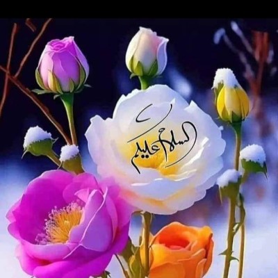 🔥🔥 OMER 🔥🔥🇵🇰 post 1