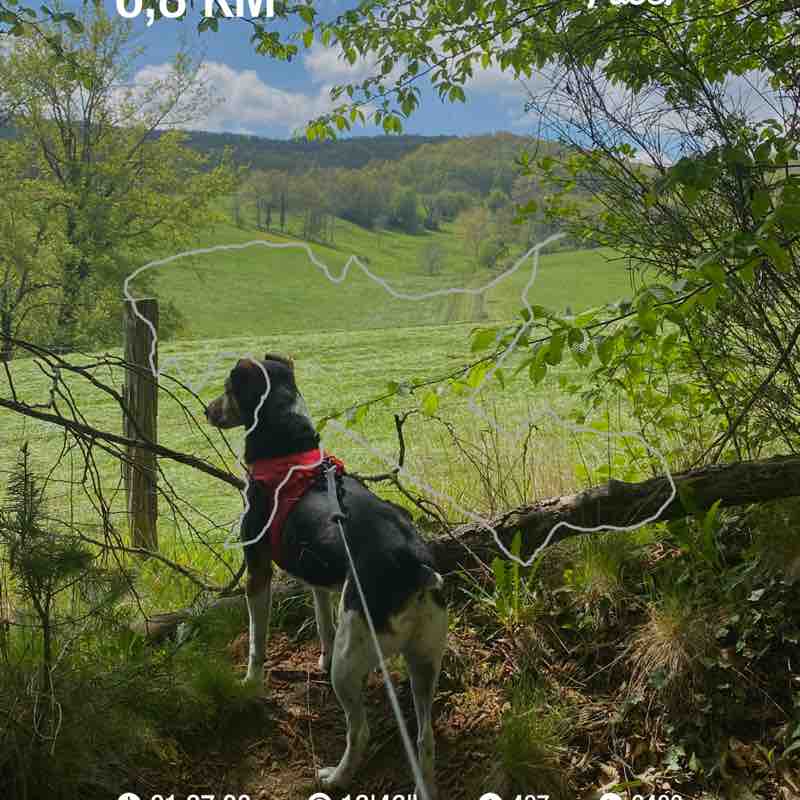 biscarrat.geraldine post 1