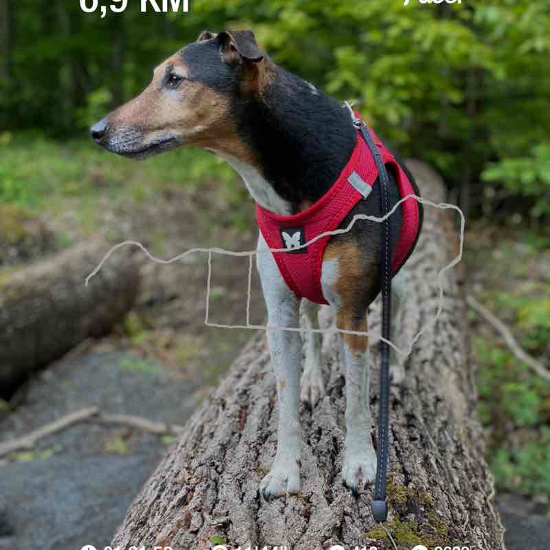 biscarrat.geraldine post 1