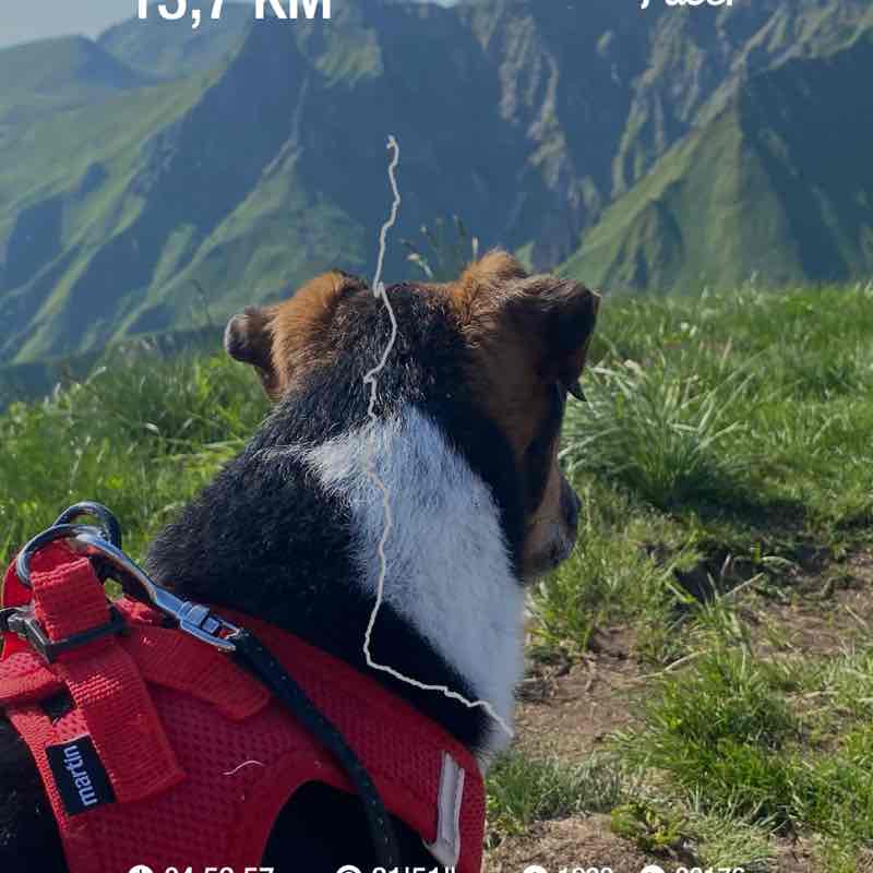 biscarrat.geraldine post 1