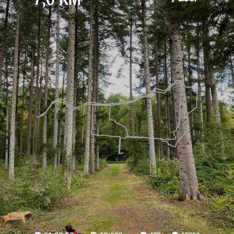 biscarrat.geraldine post 1