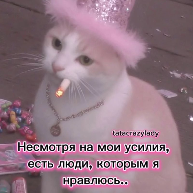 Маша Пискажева profile