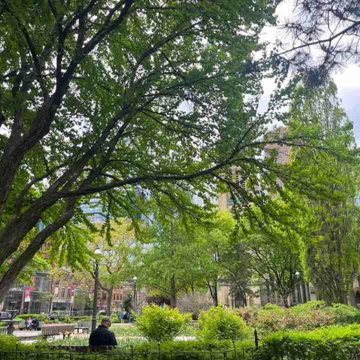 Miss Mannered post 1