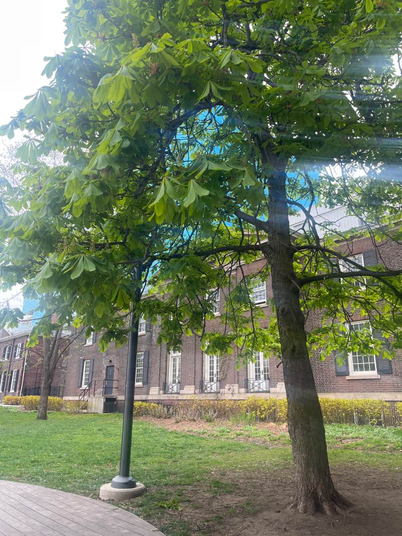 walking near me in Grange Park in spring