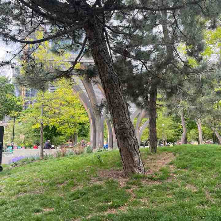 Miss Mannered post 2