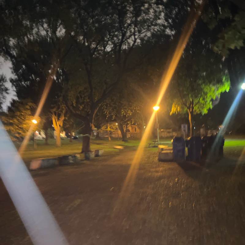 Miss Mannered post 1